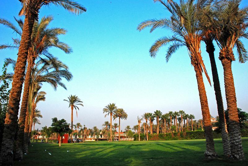 Sakkara Country Club Hotel El Hawamdeya Eksteriør bilde