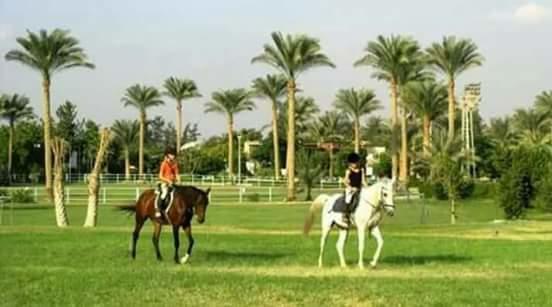 Sakkara Country Club Hotel El Hawamdeya Eksteriør bilde