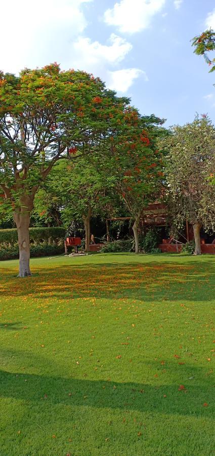 Sakkara Country Club Hotel El Hawamdeya Eksteriør bilde